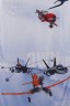 Disney Voile Net Curtains - PLANES 02